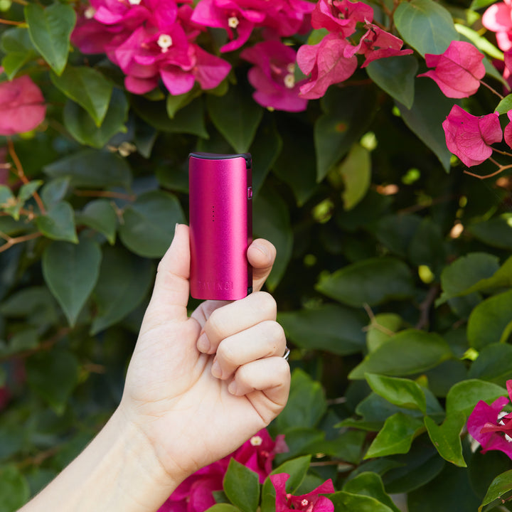Pink Miqro-C vaporizer in a womans hand, next to flowers