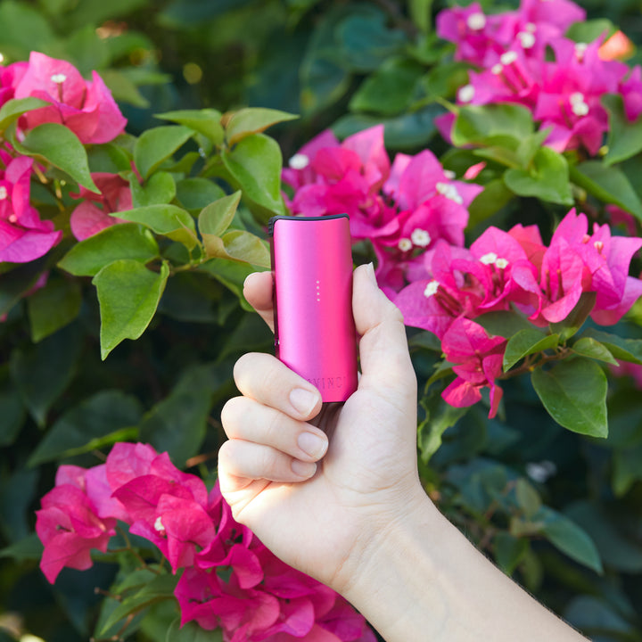 Pink Miqro-C vaporizer next to flowers.